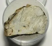 4.39 grams DJOUA 001 Meteorite Enstatite achondrite (Aubrite) cut slice + COA