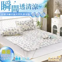 在飛比找PChome24h購物優惠-【Betrise小兔踏青】加大 COOL+抗菌透氣冰絲天然乳