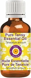 Deve Herbes Pure Tansy Essential Oil (Tanacetum annuum) Natural Therapeutic Grade Steam Distilled 100ml (3.38 oz)