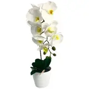 Botanica Artificial Orchid 40cm