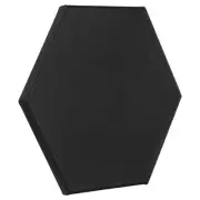 9.8" Hexagon Canvas Board for Painting, 1 Pcs Blank Panels, Black