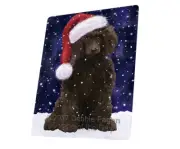 Let it Snow Christmas Holiday Poodle Dog Woven Throw Sherpa Blanket T20