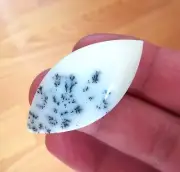 Marquis Dendritic Agate Stone - Natural & High Quality Polished, White & Black
