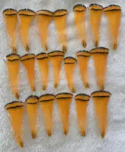 Pheasant Lady Amherst Feathers - Body Plumage- Dyed Orange- 20 pcs upto 4”