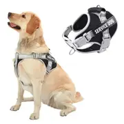 Heavy Duty no Pull Breathable Padded Dog Harness Leash Set to Prevent Tugging, Choking