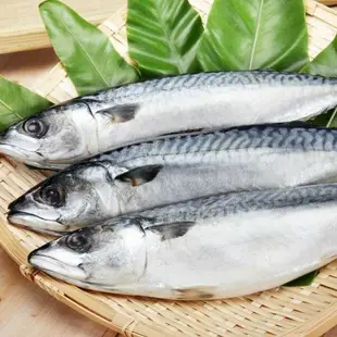 【漁夫鮮撈】 挪威薄鹽花鯖魚(整尾)350g/每尾，共15尾