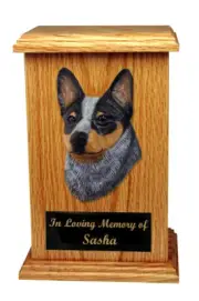 Australian Cattle Dog Memorial Urn