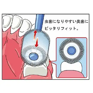 現貨附發票 日本原裝 STB 360度牙刷 嬰兒牙刷/兒童牙刷/成人牙刷 蒲公英
