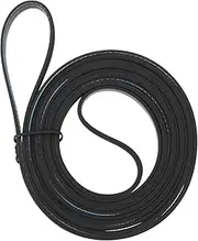 Be In Your Mind 1x Dryer Drum Drive Belt W10198086 Compatible with Maytag Whirlpool Dryer for WPW10198086 1481904 AP4369191 AH2348726 EA2348726 PS2348726
