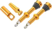 Complete Tire Valve Adapter Kit 4pcs Presta Valve Stem Air Compressor Tubeless Bike Tire Cap
