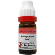 Dr. Reckeweg Homeopathy Pyrogenium (11 ml) (Select Potency)