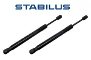 Set of 2 Trunk Shocks for AUDI A4 Base A4 Quattro Base S4 Base 2005-2008