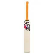 Aura Pro 4.0 Cricket Bat