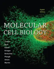 Molecular Cell Biology 8e - H. Lodish