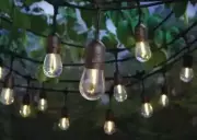 Hampton Bay 24-Light Indoor/Outdoor 48 ft. String Light Single Filament LED Bulb