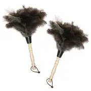 Natural Gray Ostrich Feather Duster,2 Packs,Car Duster Interior/Exterior Clea...