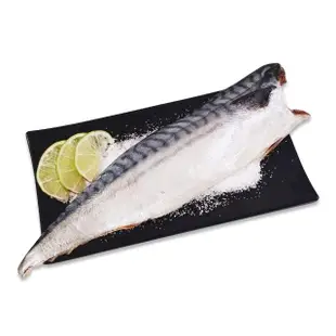 【心鮮】老饕最愛挪威鯖魚片20件組(170g-200g/片)