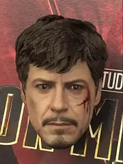 Hottoys Tony Stark MMS600 - 1/6th Scale head Sculpt only