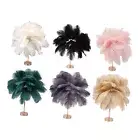 Ostrich Feather Table Lamp Rechargeable Modern Romantic Decoration Lamp Bedroom