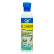 Api Pond Care Algaefix