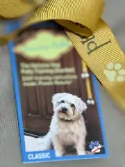 Poochie Bells Dog Training bells in Who Trained Who Print
