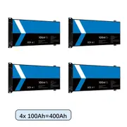 4 x 12V 100Ah Blade Lithium Battery 1280Wh 100A BMS Camping Off-Grid