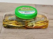 Soft Baits Assortment - Gulp! Alive! Shrimp - 3-Inch - Assorted Colors