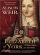 Elizabeth of York ─ A Tudor Queen and Her World