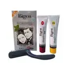 Bigen Speedy Hair Colour Conditioner #881 Natural Black Japan Made Color 881