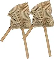 LIFKICH 4pcs Dried Palm Leaf Decorations Natural Style Ornaments for Weddings and Parties Elegant Rustic Home Decor Photography Prop for Summer Events