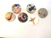 Pre Cut One Inch Bottle Cap Images Pheasant Bird Free Shipping