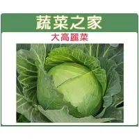 在飛比找蝦皮購物優惠-【蔬菜之家滿額免運】B08.大高麗菜種子50顆日本(日本進口