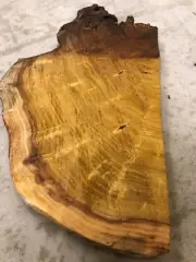 Mulberry wood woodworking very old tree
