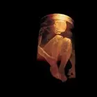 Alice In Chains Nothing Safe: Best of (CD) (US IMPORT)