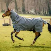 Horseware Amigo® Bravo 12 Plus Bundle Turnout (50g Outer with 100g Liner and 200