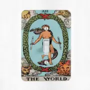 The World Tarot Card Light Switch Cover Arcana Astrology Mysticism Divination