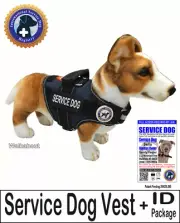 SERVICE DOG PKG - Vest + ID - the "Walkabout" by LuvDoggy