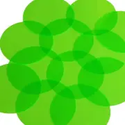 Round Vinyl Shape 60mm Green Go Go Fluorescent Edge Glow
