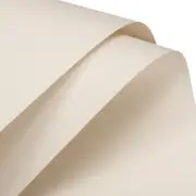 Flower Wrapping Paper 22.8x22.8 Inch Iced Tea Pack of 19