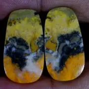 40.00 Cts Natural BumbleBee Jasper Matched Pair Cabochon Gems For Earring Supply
