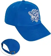 Desert Cactus BYU Brigham Young University University Baseball Hat Cougars Cougs Brimmed Embroirderd Hats Cap Adjustable Cloth Strap Adult (Style D1) Blue, Blue, One Size