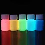 5 Pcs Luminous Paint Fluorescent Coating Glow Dark Face Reflective The