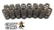 16 X VALVE SPRING TO SUIT HOLDEN STATESMAN WH WK WL WM LS1 L76 L98 5.7 6.0L V8