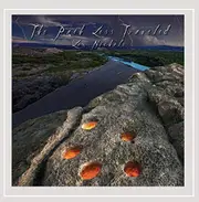 Path Less Traveled -Lex Nichols CD