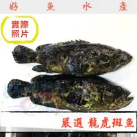 在飛比找蝦皮購物優惠-龍虎斑 龍虎斑魚 龍虎 600g 750g /三去真空包裝 