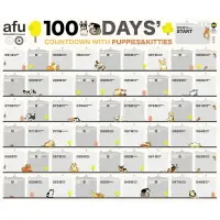 在飛比找樂天市場購物網優惠-AFU - 插畫倒數日曆-喵星人X毛寶貝陪你倒數100天