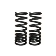 Pair Front EFS 50mm Lift Coil Springs Up to 50Kg for Great Wall Tank 300 09/22+
