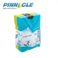 在飛比找森森購物網優惠-PINNACLE 保冷冰磚600ml 二入組 冰寶 保冰劑 