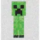 【預購2023年06月】FURYU 景品 Minecraft 當個創世神 麥塊 苦力怕 BIG公仔 東海模型