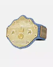 RIC FLAIR SIGNATURE SERIES CHAMPIONSHIP REPLICA WRESTLING TITLE BELT